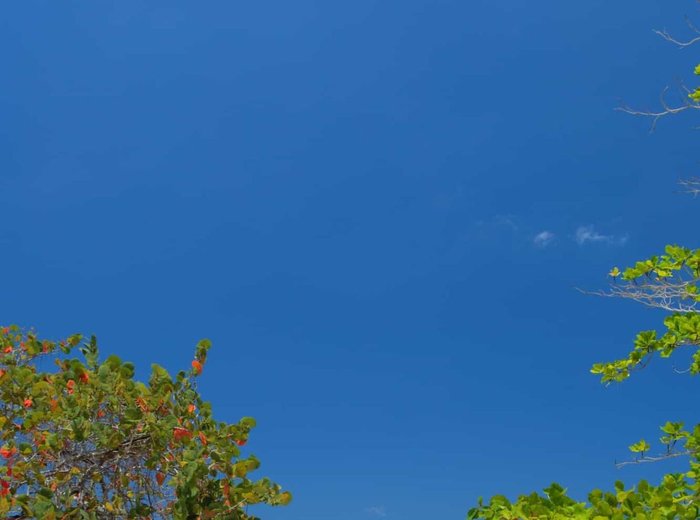 Jamaica